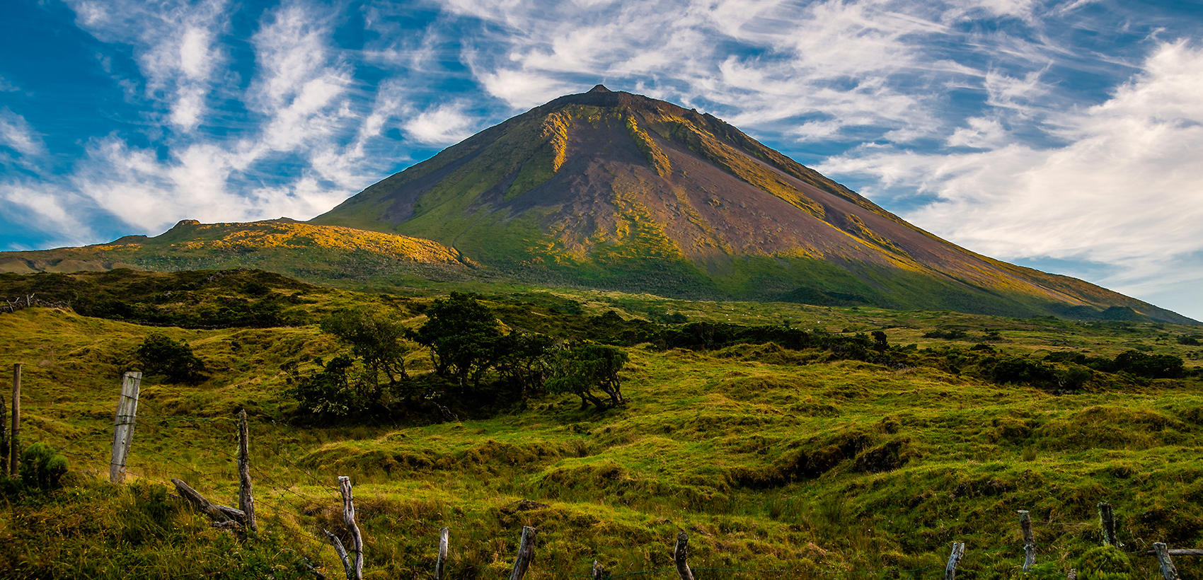 Pico