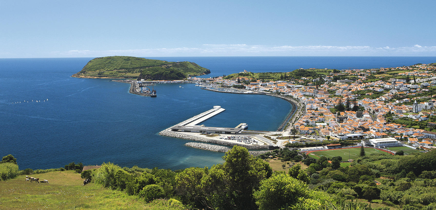 Faial3