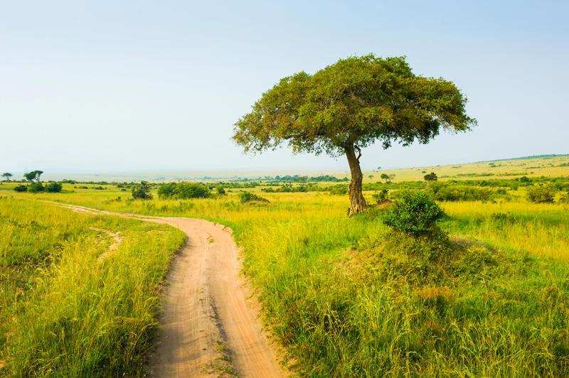 shutterstock_524557531